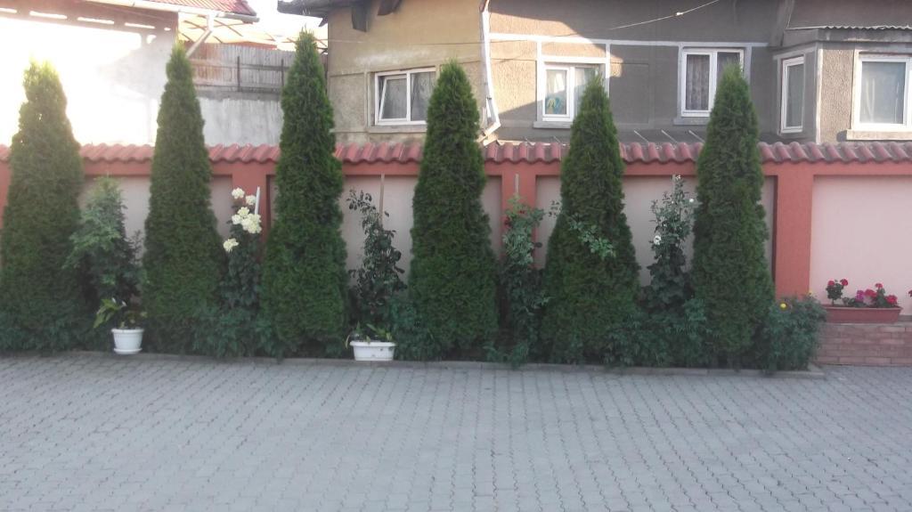 Pensiunea Neptun Alba Iulia Exterior foto